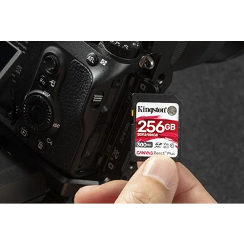 Camera Memory Card